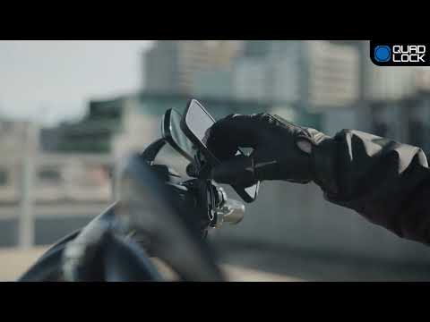 QUAD LOCK Motorcycle Brake/Clutch Mount